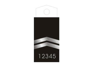 310x258