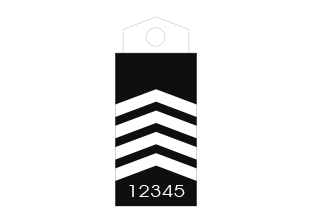 313x258
