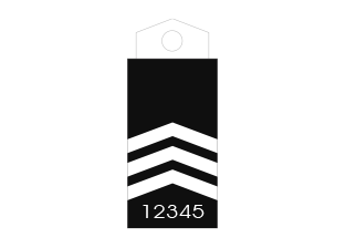 313x258